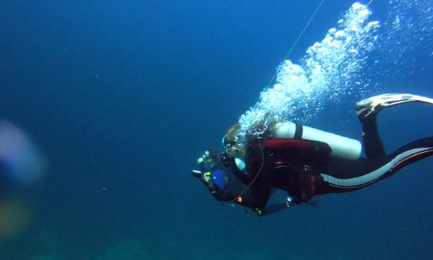 What to expect media