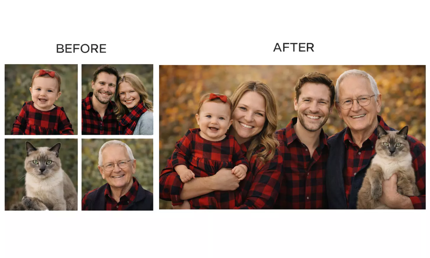 Create One Image: Custom Digital Family Photo Merge– Add People /Pets