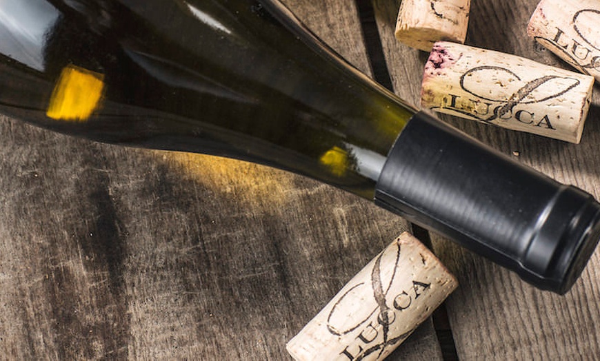 Image 5: Get a Wine Tasting Experience for Two, Four, or Six & Bottle Credits