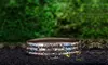 3 Pack of Safari 18k Gold Elephant Bangle 