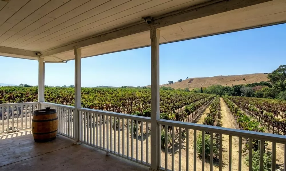 Private Wine Tour: 2 Curated Wineries & Luxury Sprinter from SF