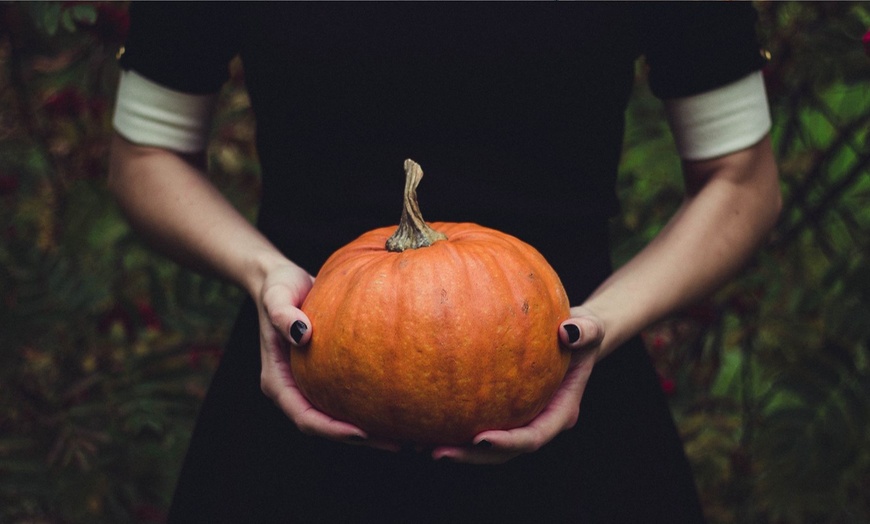 Image 5: Escape game d’Halloween à vivre en extérieur