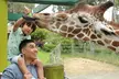 LIMITED TIME OFFER: Six Flags Discovery Kingdom - Up to 51% Off - Second Medium
