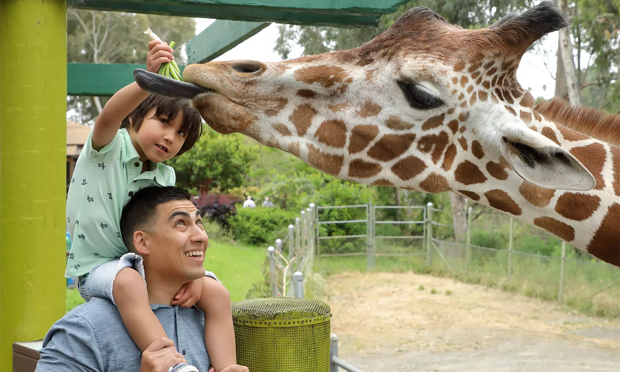 LIMITED TIME OFFER: Six Flags Discovery Kingdom - Up to 51% Off