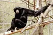 Admission for 2, 3, or 4 Guests to Safari Niagara  (Up to 31% Off) - Second Medium