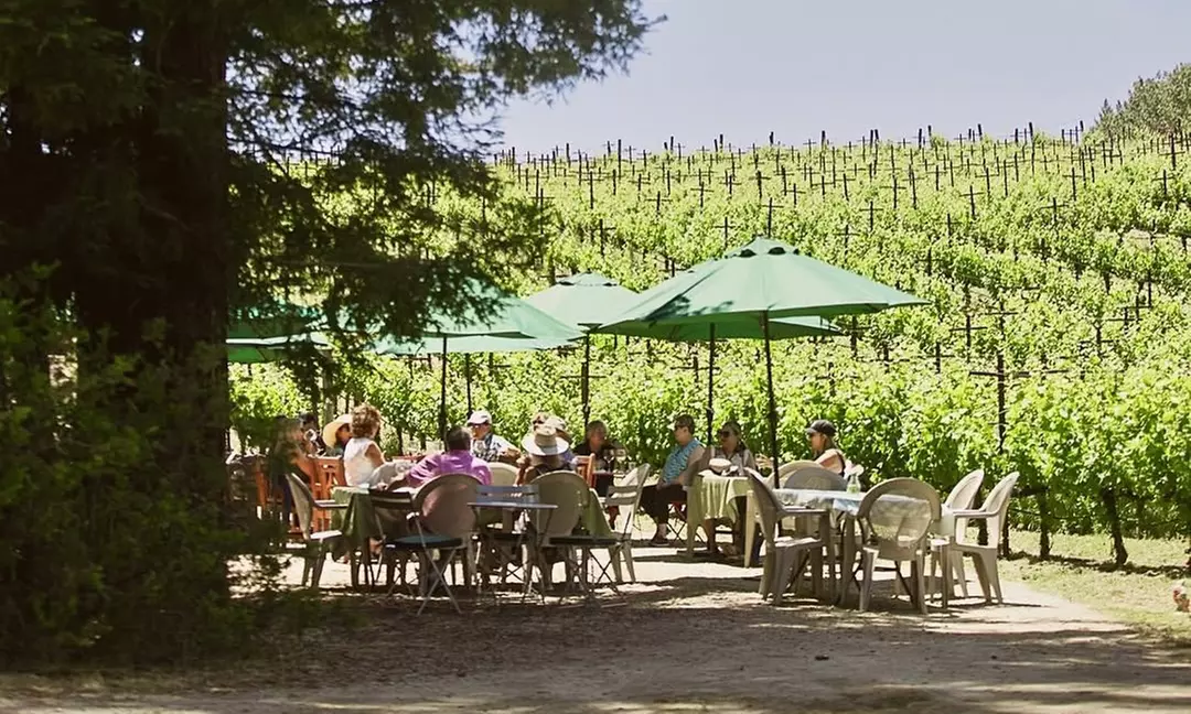 Experience Quality Wines at Windy Oaks - Up to 38% Off