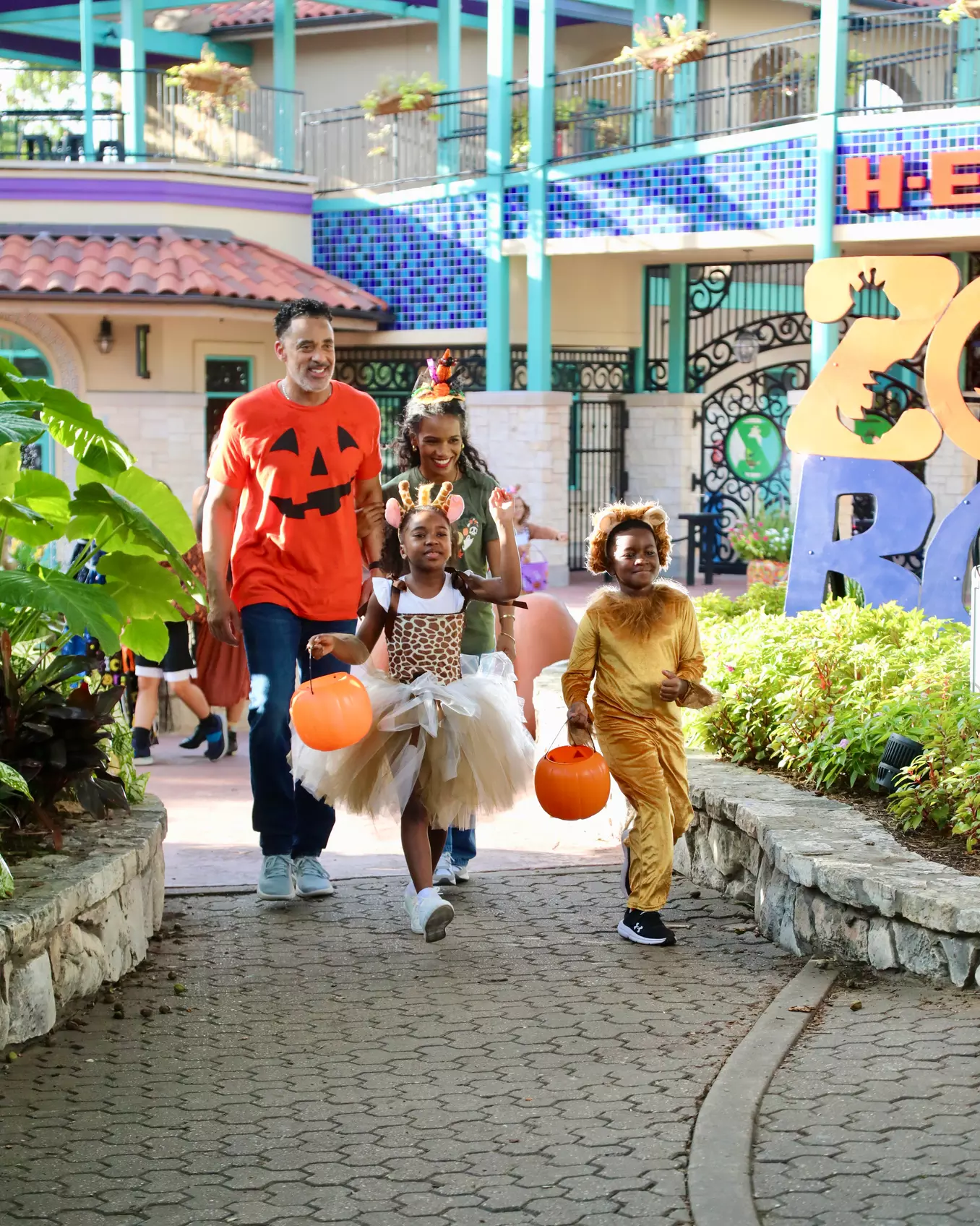 FLASH SALE! Exhilarating Wildlife Adventure at San Antonio Zoo!