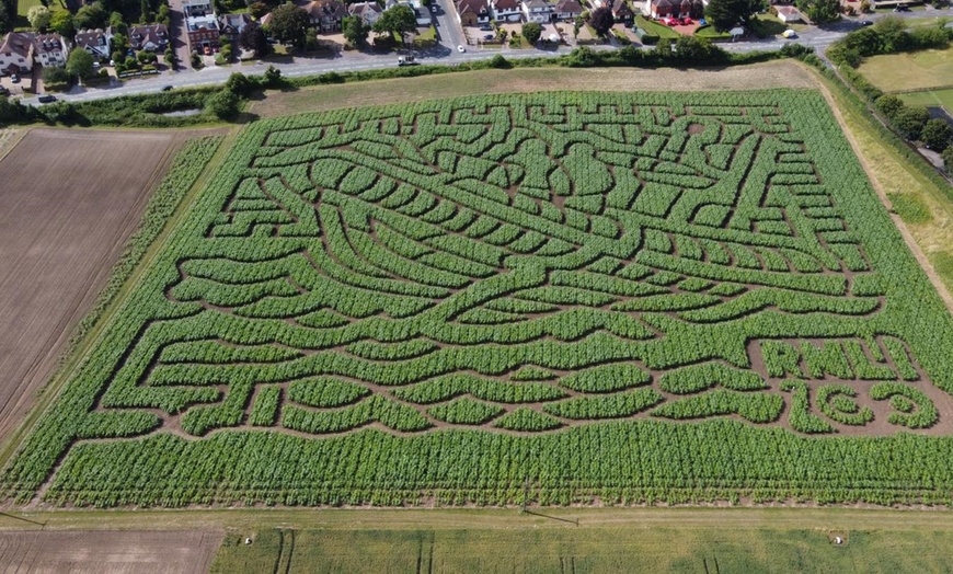 Image 1: Adventure Awaits: Maze Entry for One, Two, Three, or Family of Four