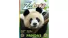 Zoobooks Magazine Subscription for One Year (55% Off)
