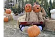 Pumpkin Fest at the Princess - Two GA Wristband Package - Valid Sept 13th through Oct 31st, 2025 (Up to 37% Off) - Second Medium