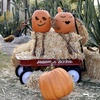 Image 7: Pumpkin Fest at the Princess - Two GA Wristband Package - Up to 43% Off 