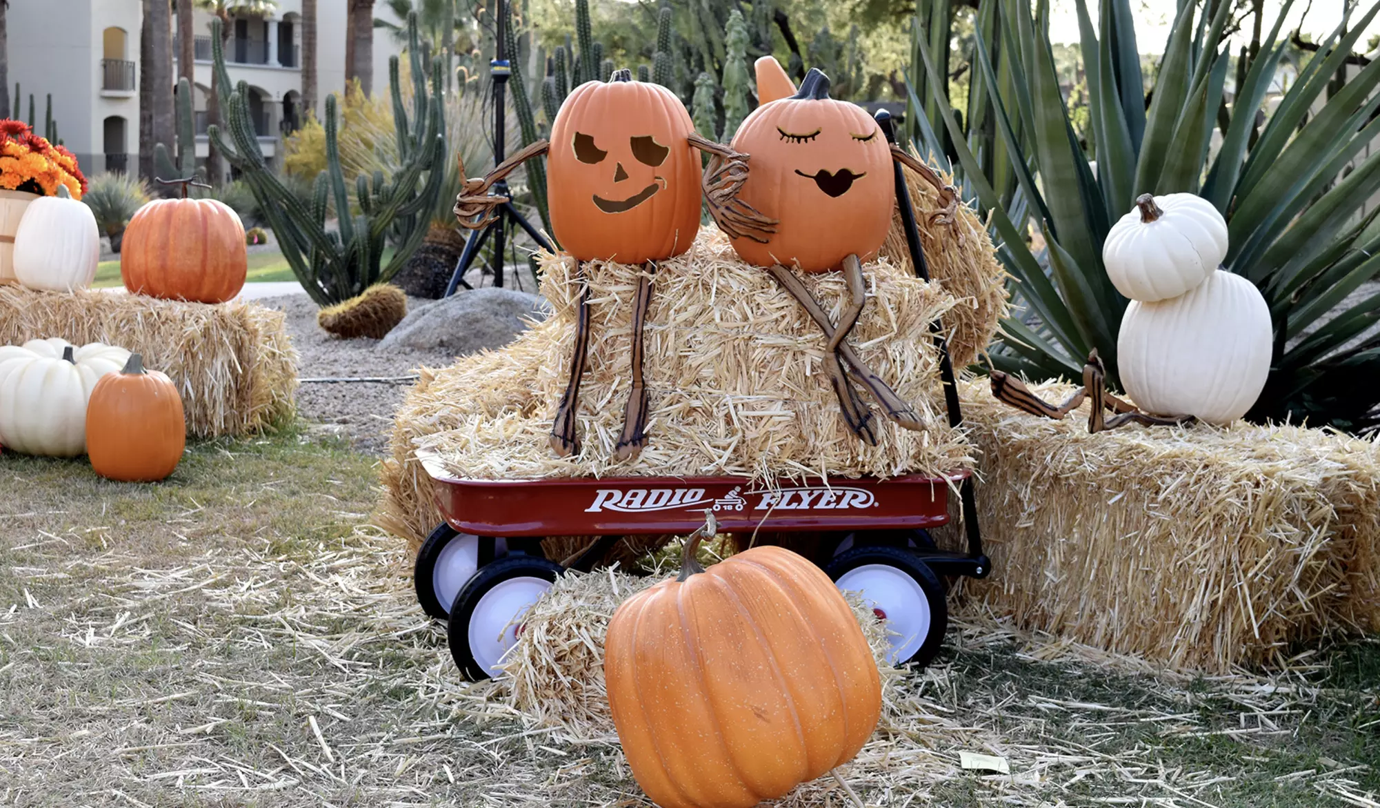 Pumpkin Fest at the Scottsdale Princess - Tickets on Sale Now!