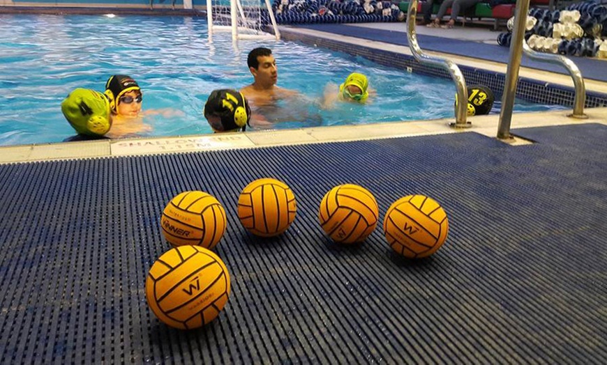 Image 3: One, five or ten Water polo sessions at Warriors Sports