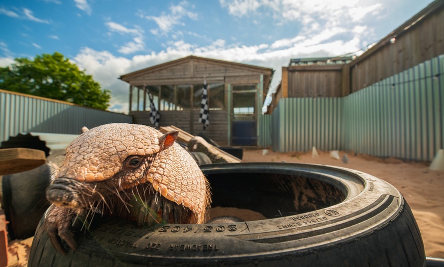 Image 7: Wildlife & Meadow Park Fun – Tickets for 2, 3, 4 or 6