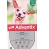 Image 2: Pipette antiparassitarie per cani Advantix