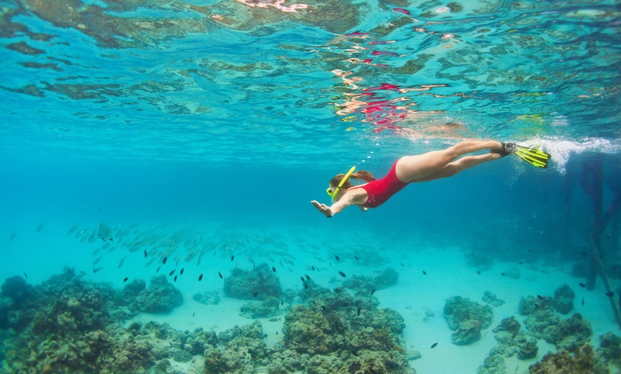 Image 9: ✈ Cairns: 5-Night Getaway at Rydges Cairns with Daily Breakfast