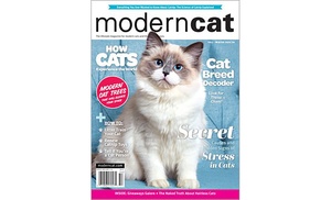 66% Off Modern Cat Magazine Subscription 