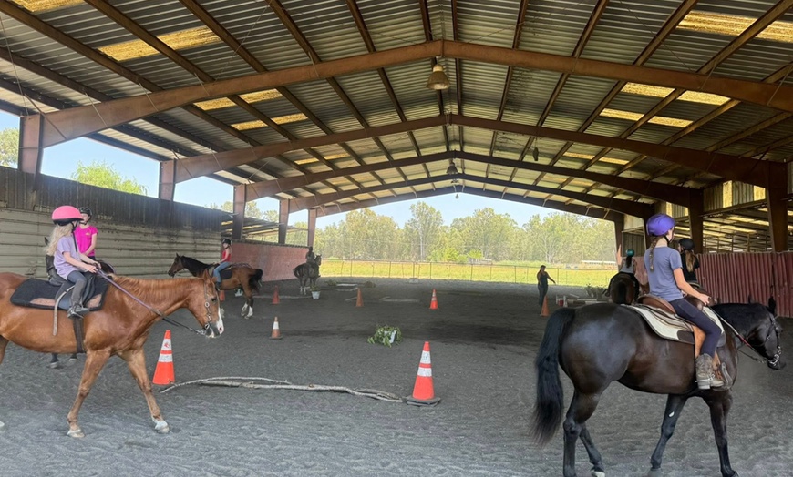 Image 3: 1,2 3, or 4 Horseback Riding Lessons for One Hour Each Sessions