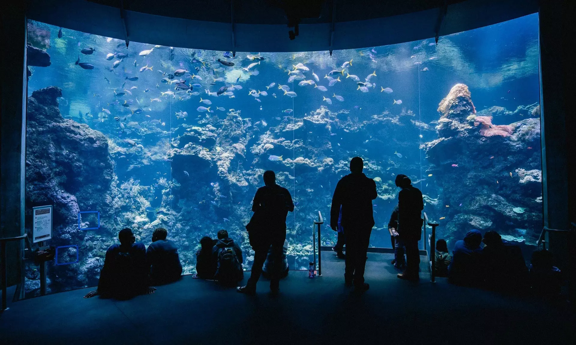 ✈ Tokyo: 8-Day Getaway with Hotel & Flights from Worldee