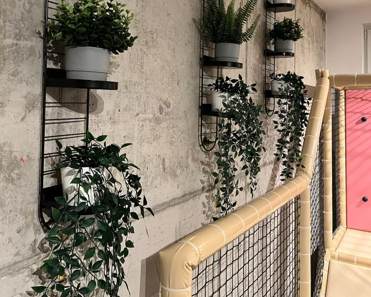 Godzinne bilety wstępu dla 1 lub 2 dzieci do sali zabaw