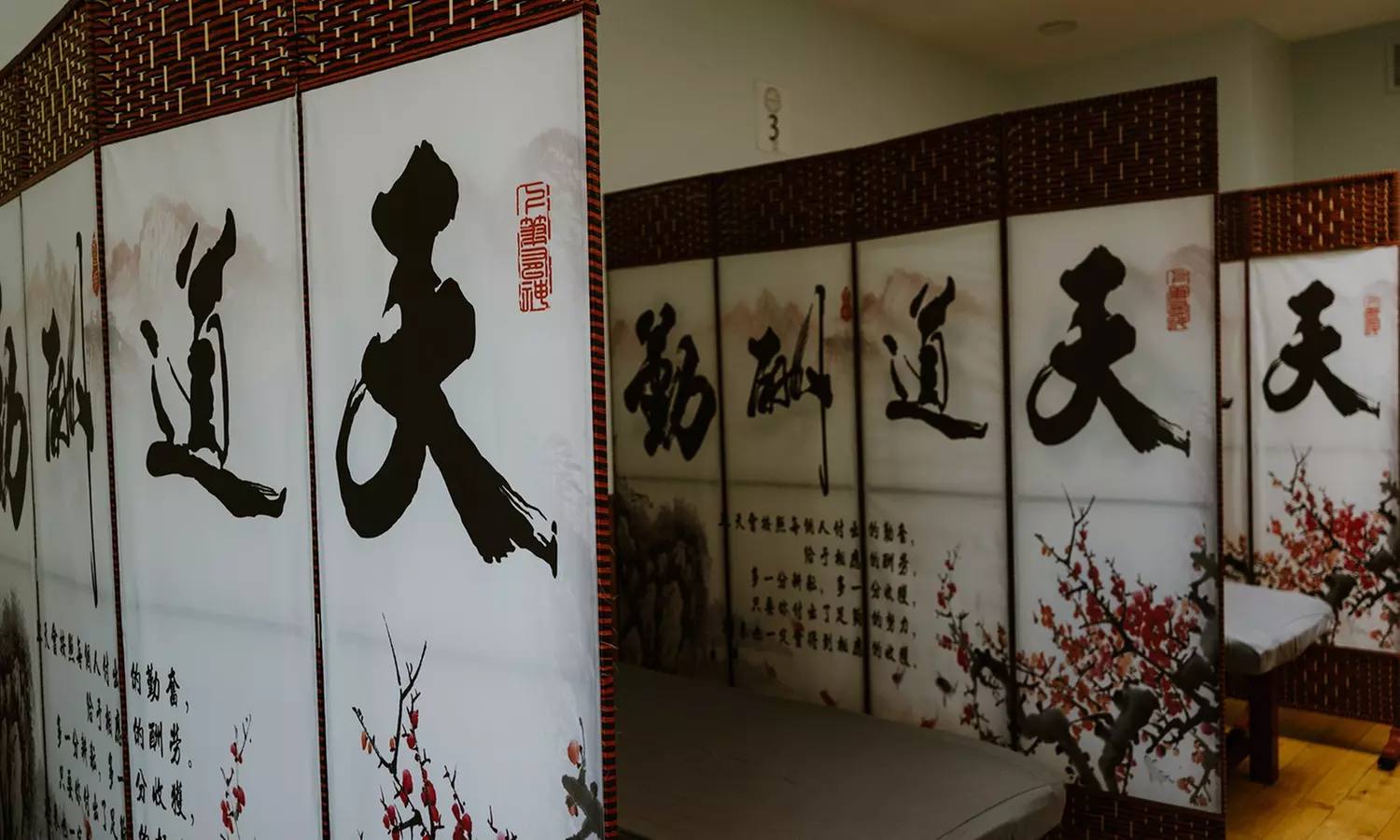 Experience One or Three 60 Min Lymphatic Drainage Massage and TCM 