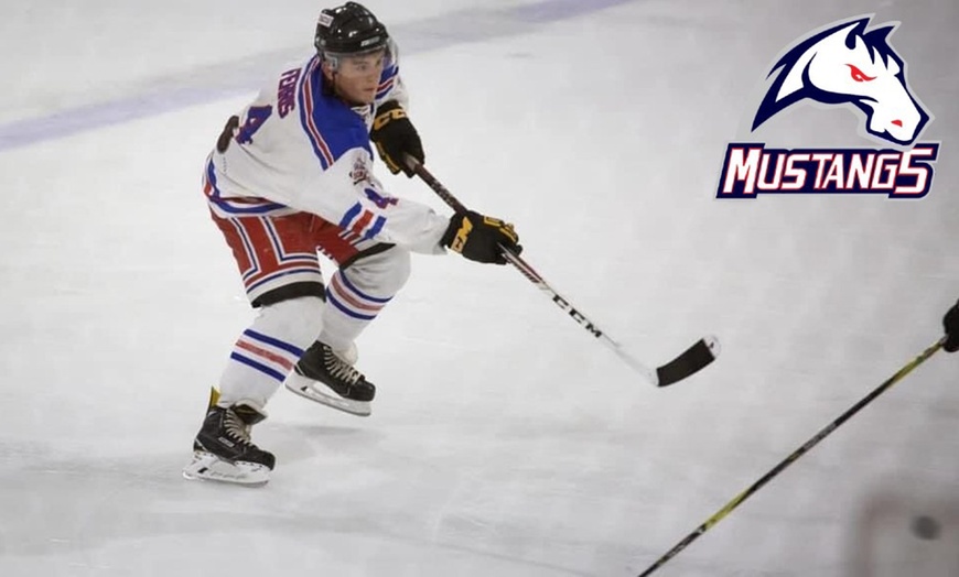 Image 3: Invicta Mustangs Ice Hockey Team