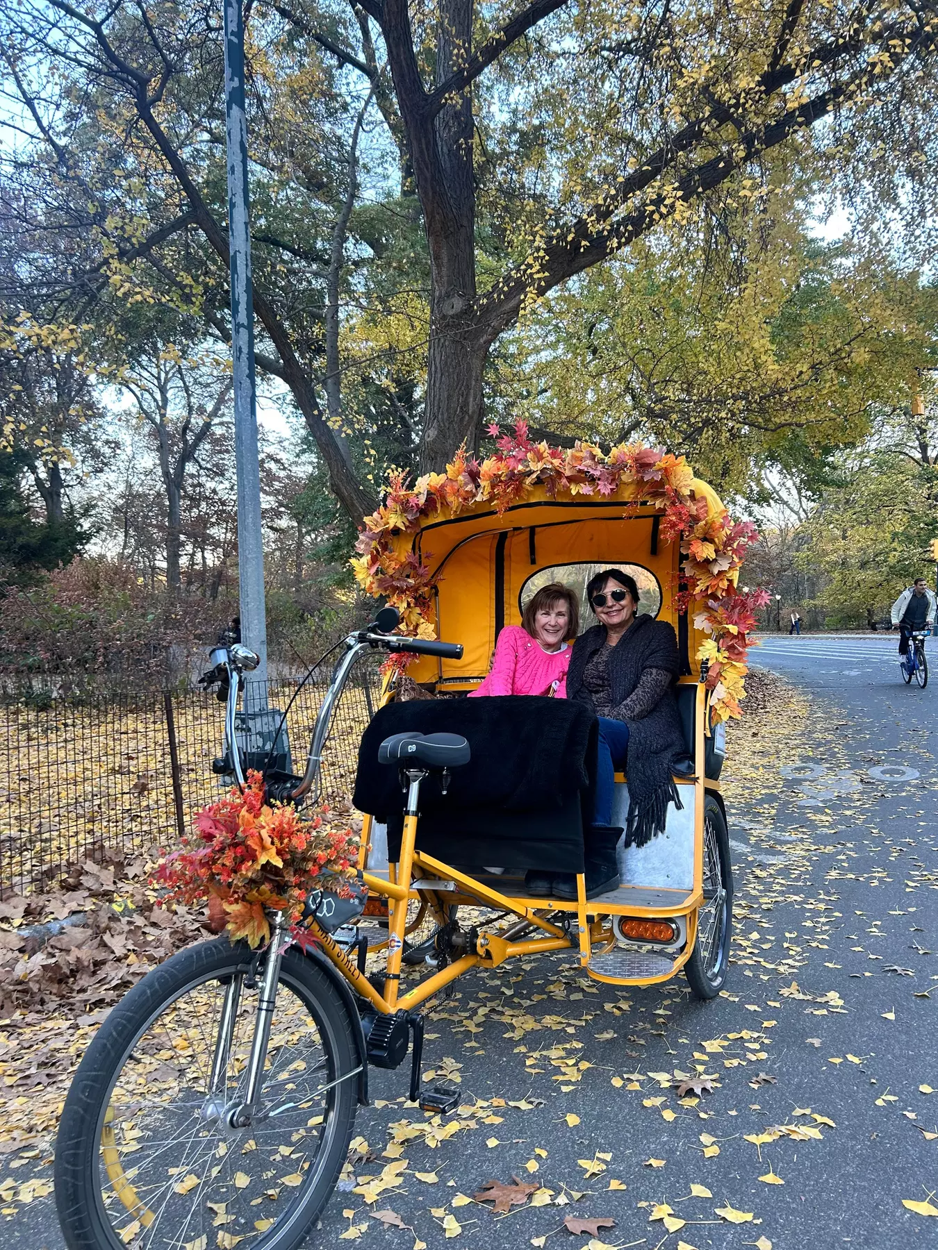 Central Park Pedicab Tour: Classic, Deluxe or Elite PediCab Tour