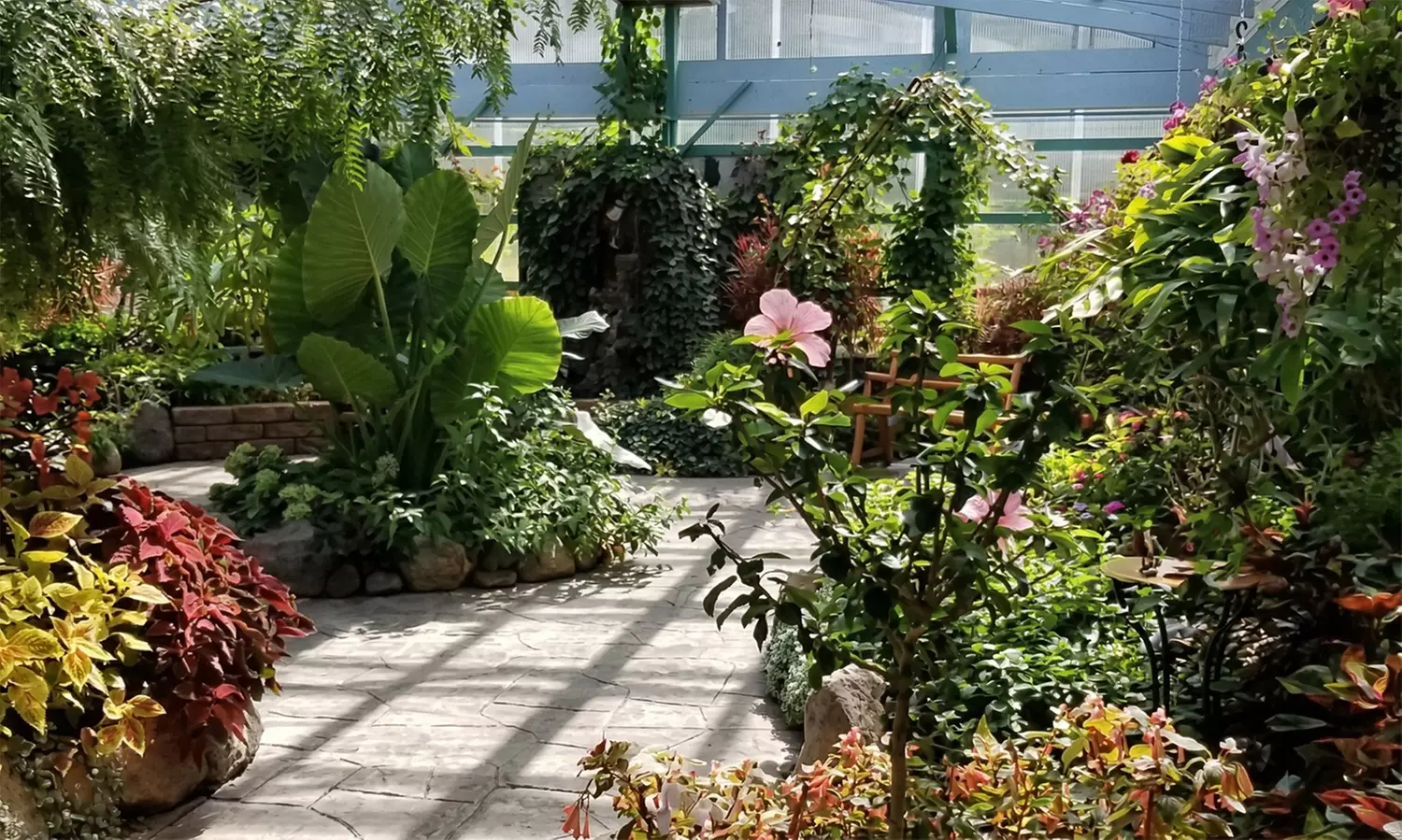 Butterfly & Bug Zoo Admission – Traverse City