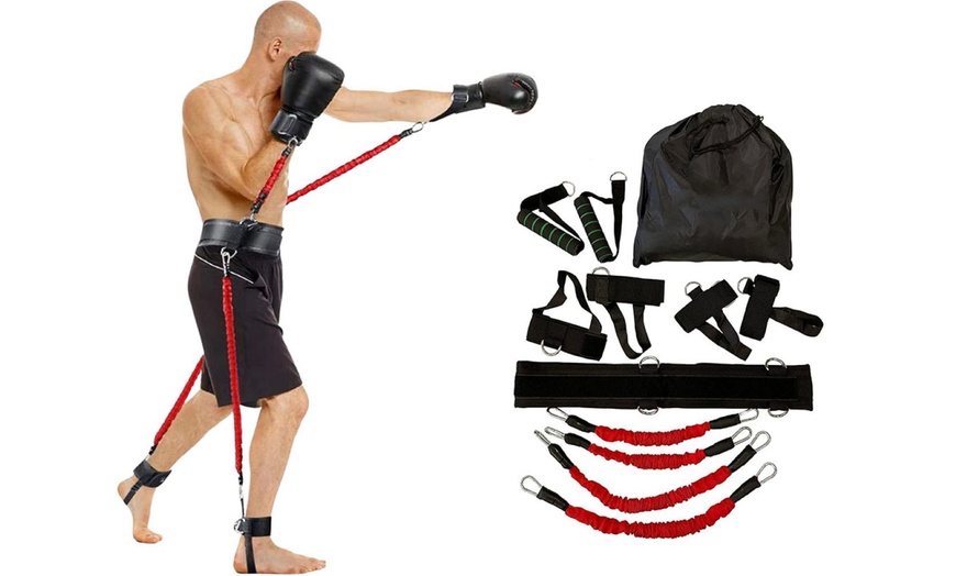 Image 10: Boxing Bounce Strength Trainers; 15 or 25 lbs