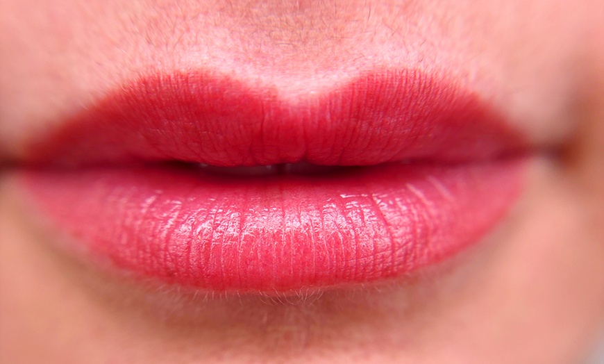 Image 4: Transform Your Look with One Powder Brow or Lip Blushing Sessions