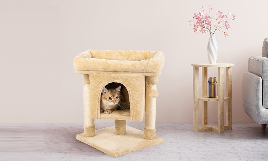 Image 20: Griffoir pour chat