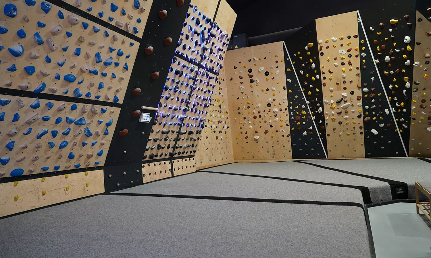 Experiencia de escalada: entrada individual o para adultos y niños