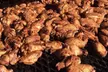 9th Annual Jerk, Seafood & Vegan Festival on September 20 - 21 - Second Medium