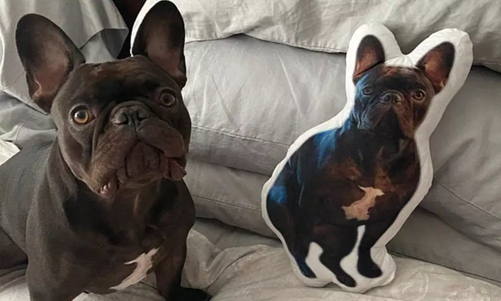 3-D-Fotokissen mit Haustiermotiv