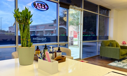 One-Hour Hot Stone Massage with Aromatherapy - Aqualiss Therapeutic Massage And Spa