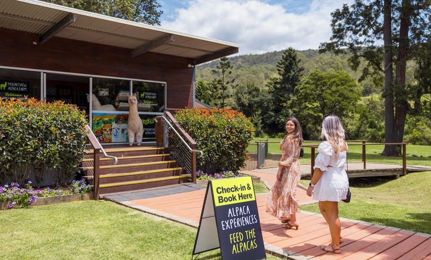 Image 2: 30-Min Alpaca VIP Experience: Alpaca w/ Lanyard & $5 Voucher for 1-6