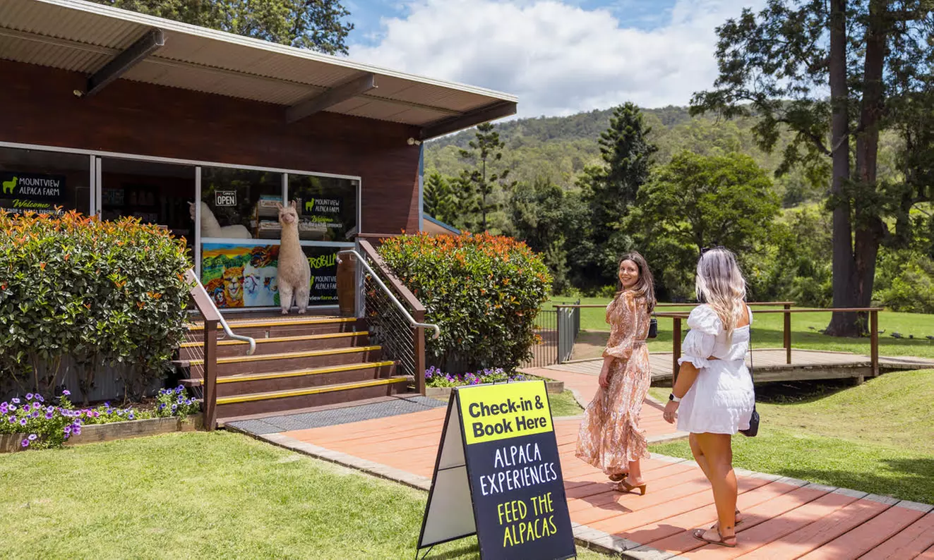 30-Min Alpaca VIP Experience: Alpaca w/ Lanyard & $5 Voucher for 1-6