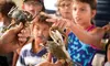 Enjoy Capers Island Wildlife Explorations or Blue Crabbing Excursions with Barrier Island EcoTours Up to 33% Off