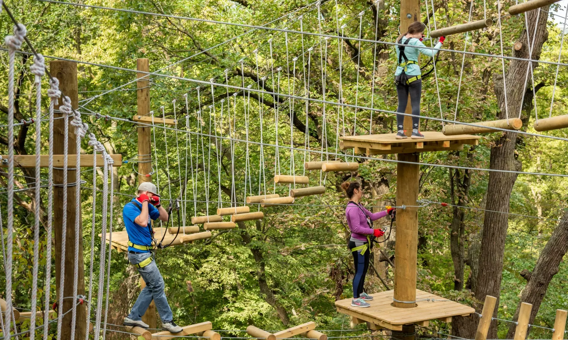 2-, 4-, or 10-Ticket Packages to TreeRush Adventures at Fontenelle Forest (Up to 39% Off)  - Primary Image