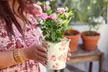 Brighten Their Day: Next Day Delivery Plants for Any Occasion from 1-800-Flowers.com (Up to 50% Off) - Second Medium