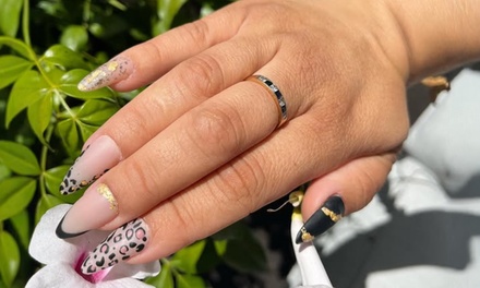 1 Classic Manicure and Classic Pedicure Session - Black Stallion