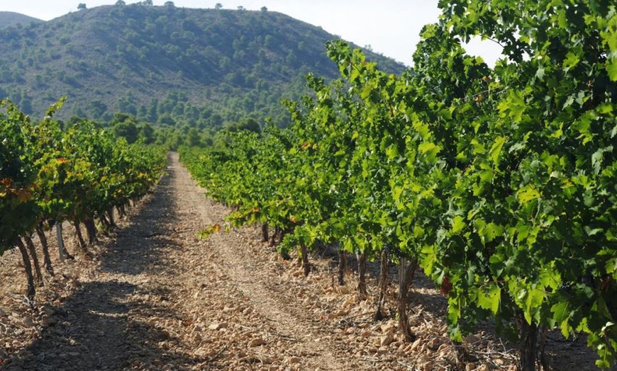 Image 3: Visita a bodega y cata de vinos