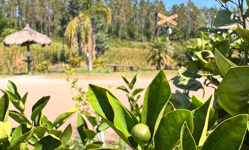 Image 7: Explore 2,500-Acre Estate with Modified Monster Trucks & Wildlife! 