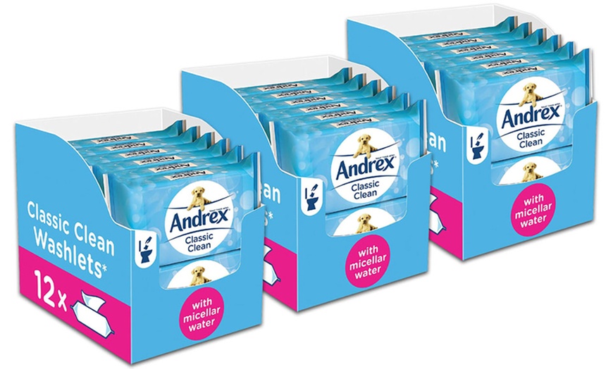 Image 8: Andrex Flushable Wipes
