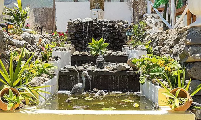 Menú completo para 2 o 4 personas en Restaurante El Rancho