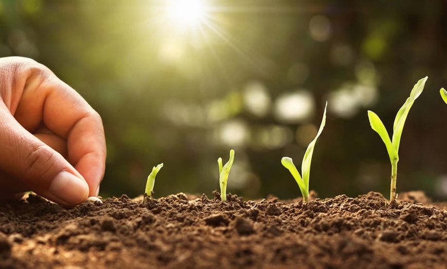 Image 2: 90 Min „Vitamine für die Seele“ Schamanischer-Heilkreis