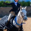 Image 2: Intro Horseback Riding Lessons with One or Two 30-Minute Sessions