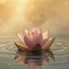 Image 5: 150-Minute Modesty-Safe Women's Retreat Experience