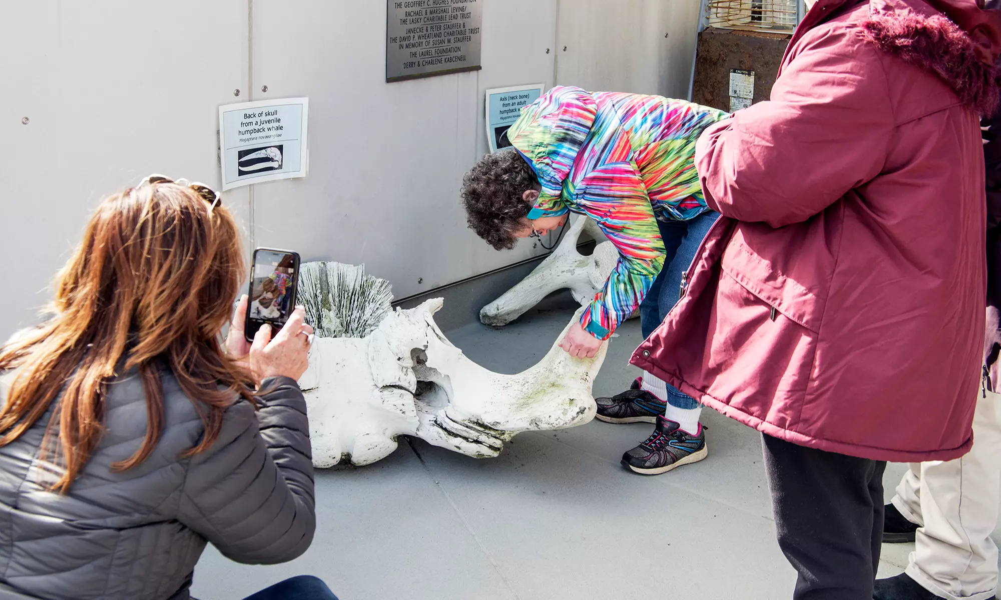 Explore Marine Mammal Rescue: Admissions & Guided Tours For 1, 2, or 4