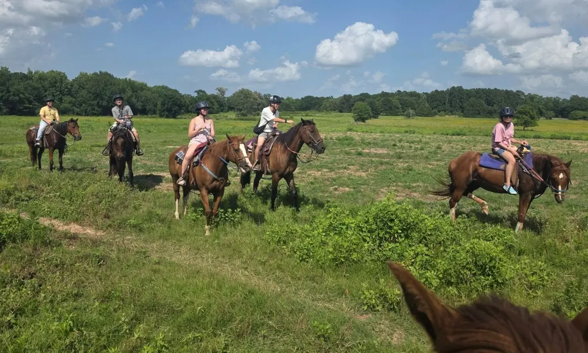 Up to 20% Off on Horse Back Riding at Zabcik Ranch LLC